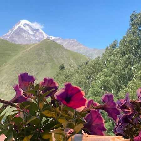 Hotel Elegant Kazbegi Extérieur photo