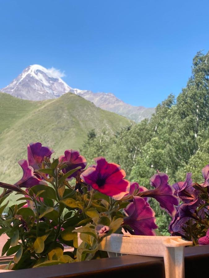 Hotel Elegant Kazbegi Extérieur photo