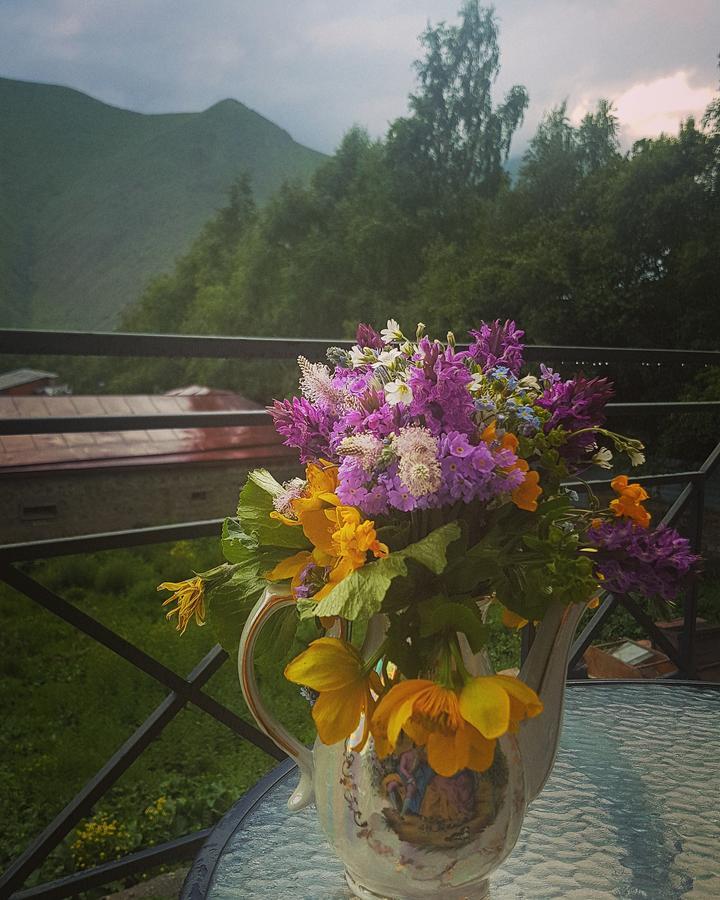 Hotel Elegant Kazbegi Extérieur photo